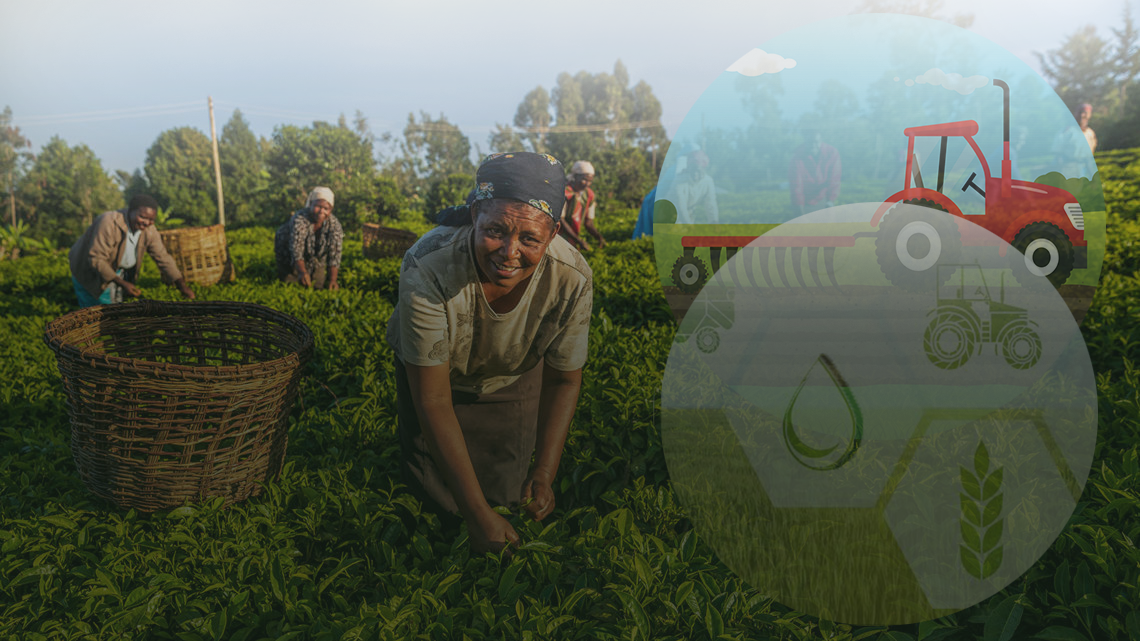 Agribusiness manager (Agri B-Manage)